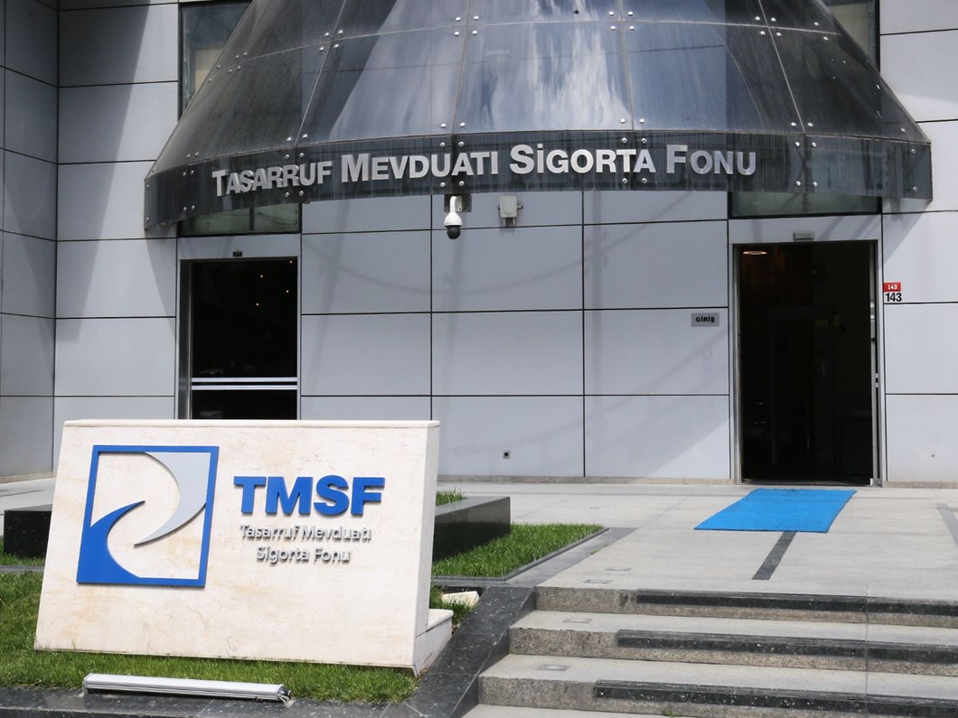 TMSF