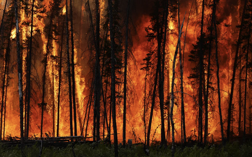 Turkey wildfires