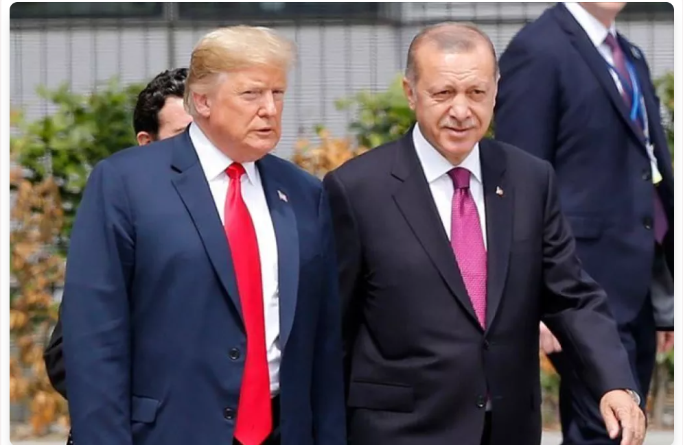 COMMENTARY: Gonul Tol Warns America: Trump is Erdogan on Steroids