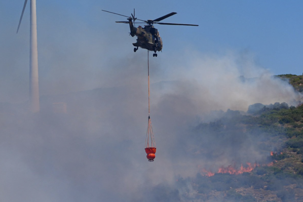 Forest Fires Rage in İzmir’s Çeşme and Ödemiş, Forcing Mass Evacuations