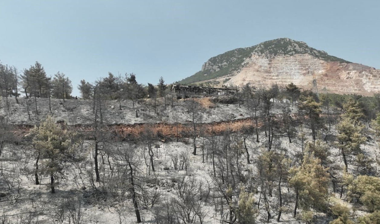 Bursa fire