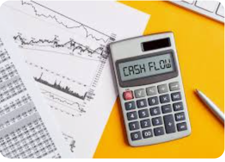 borsa-profit forecast