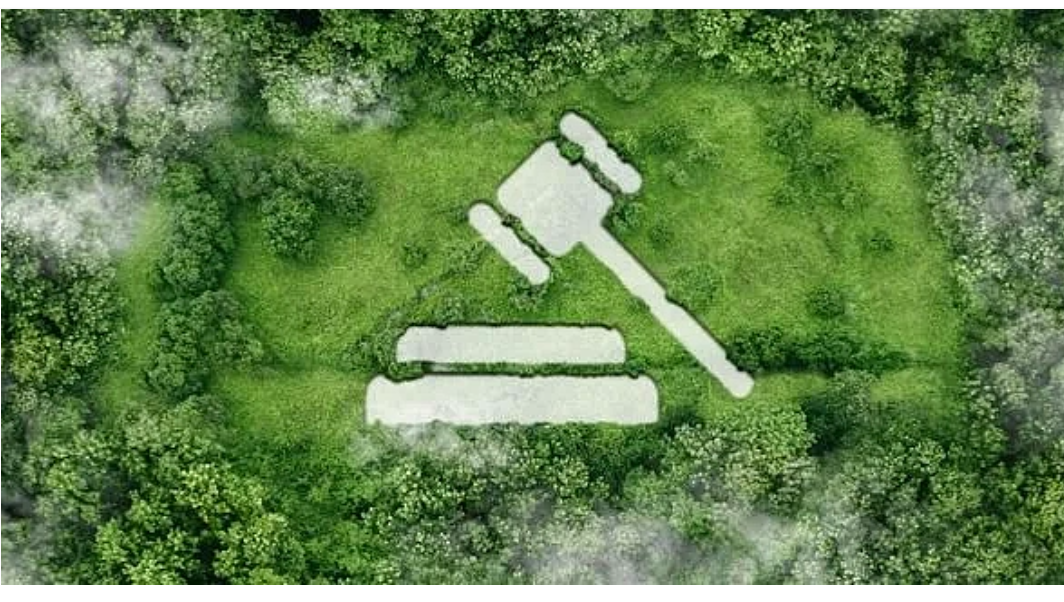 Controversial Climate Law Sparks Debate in Turkey